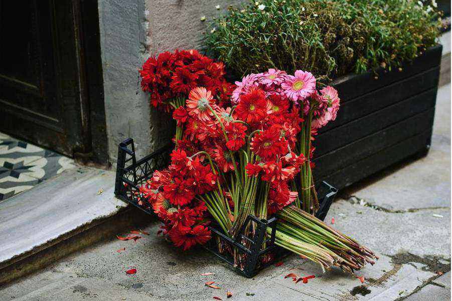 Florale achtergrond