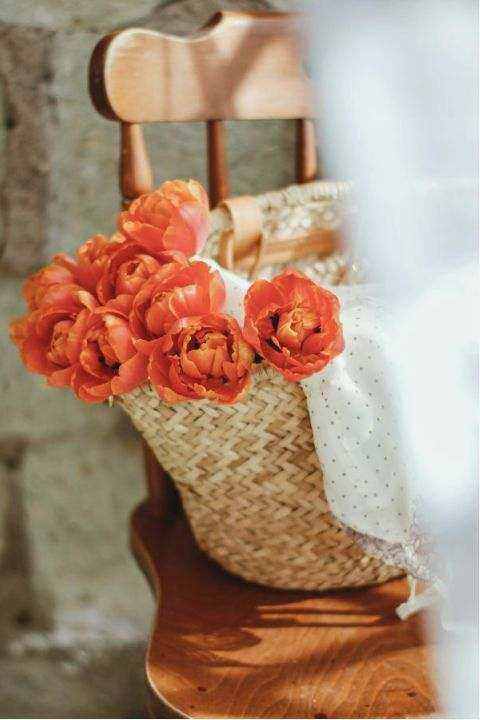 Case: product launch bloemen