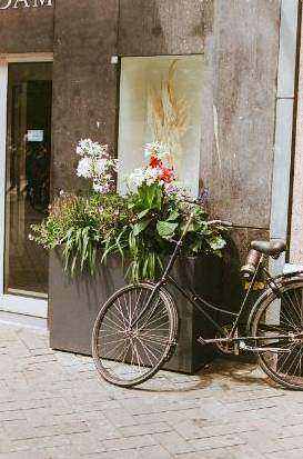 Entree installatie - hal